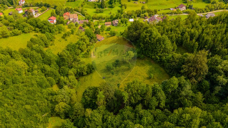 COMISION 0% Teren 11,381 mp Moieciu de Jos / Oportunitate unică