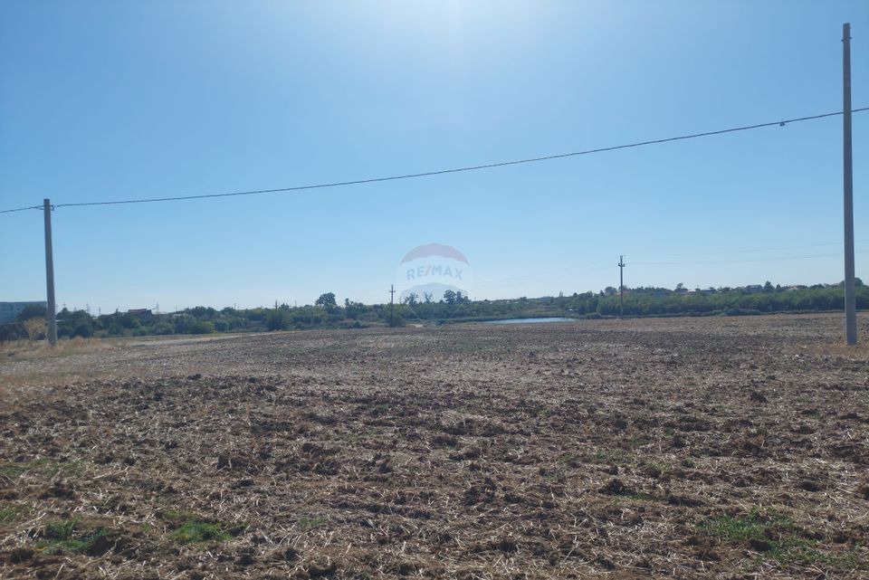 Land 10,032sqm Balotesti / Strada Lacului