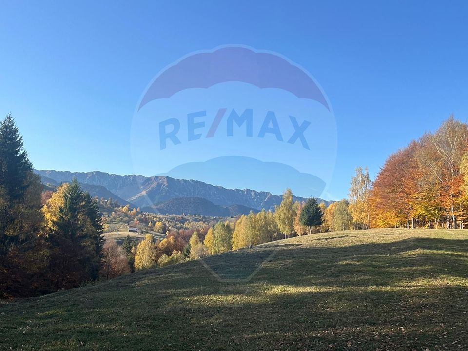 Investment opportunity ! Dream land in Pestera - 125,370 sqm