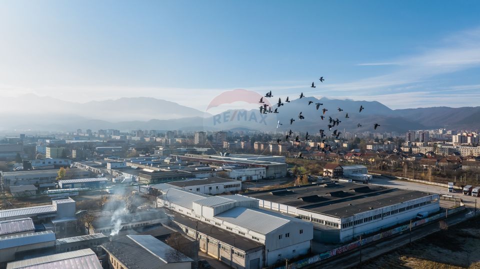 Hala industrială – investiție stabilă sau potențial operațional