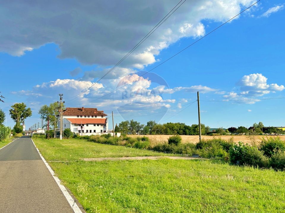 De vânzare pensiunea "Casa Albă" Pecica/Arad.