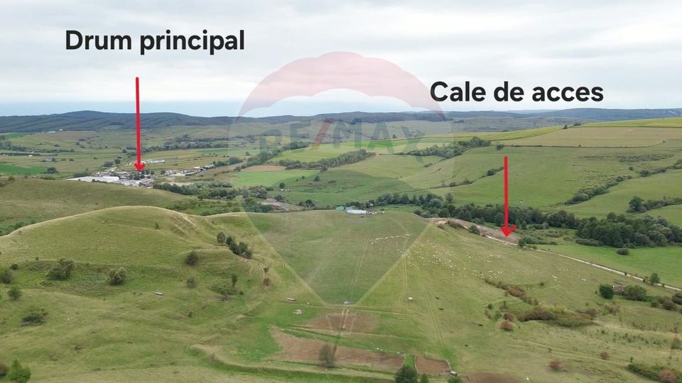 Land 65ha Agnita / Central