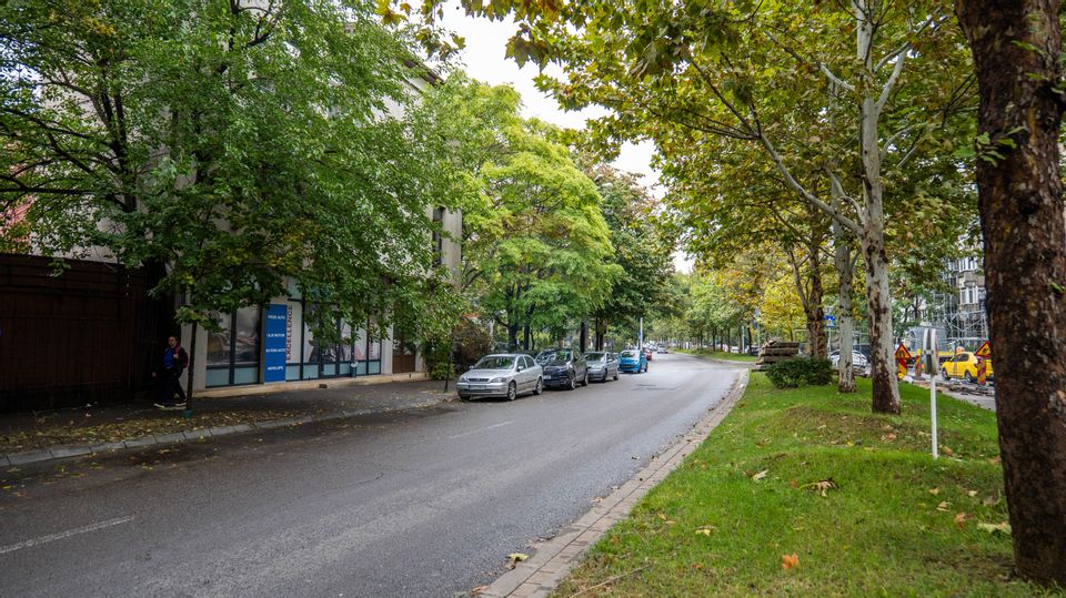 11 room House / Villa for sale, Doamna Ghica area