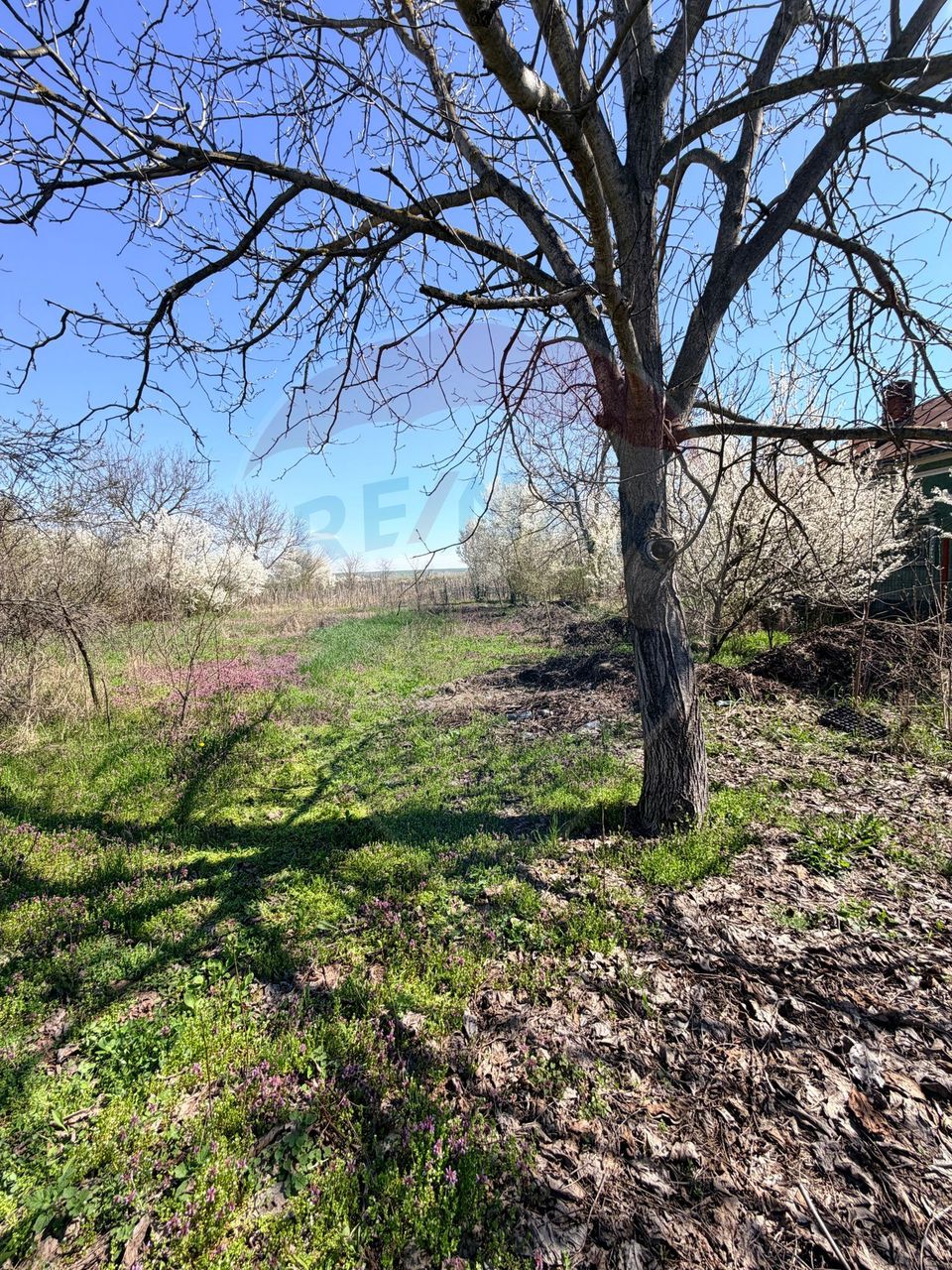 Teren 3,700mp Dobriceni / Strada Sabin Balașa