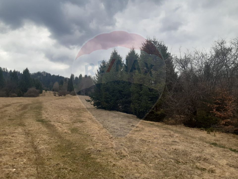 Teren Rasnov/ Soseaua Predealului DN73B