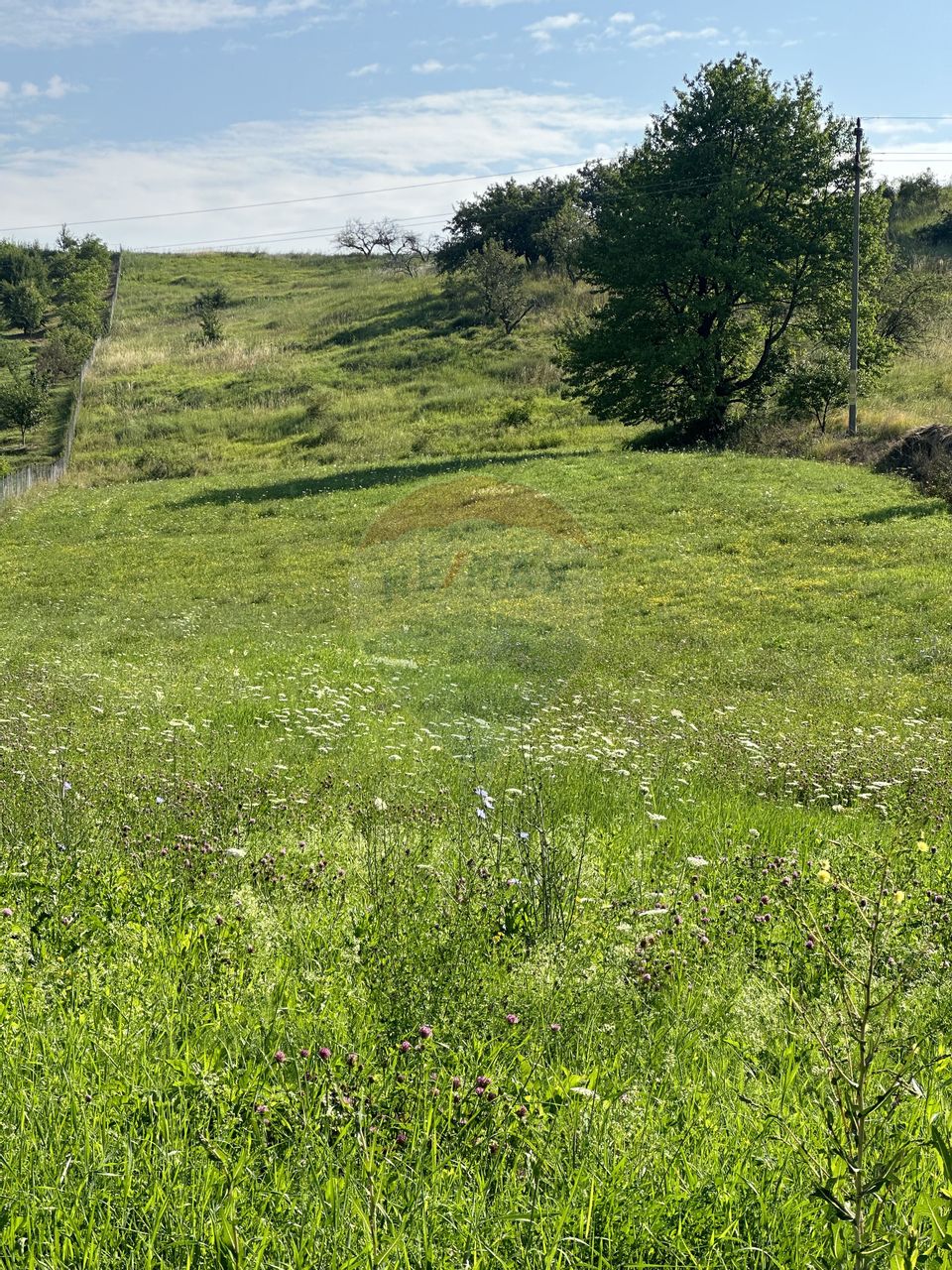 Land 8,300sqm Negresti (Dobreni) / Drumul DEALUL OTEL