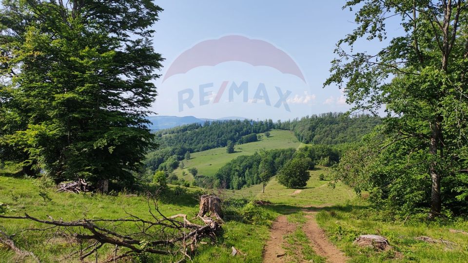 Teren 130000 mp extravilan Munteni - Bulz, Negreni