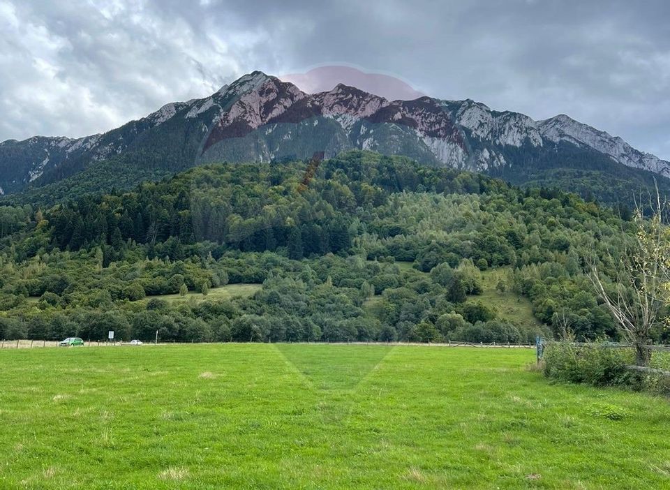 Comision 0! Teren Zarnesti- Plaiu Foii,  4000mp vedere Piatra Craiului