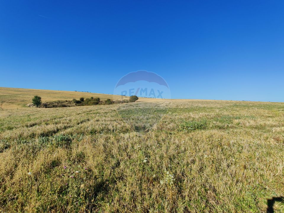 Land 2,100sqm Salicea / Strada Principala