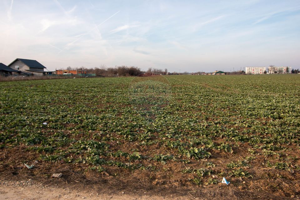 Land 21,000sqm Balotesti / Strada Stadionului