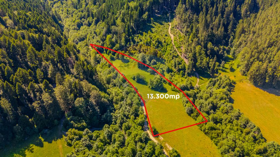 Land 13,300sqm Sacele / Soseaua Valea Doftanei