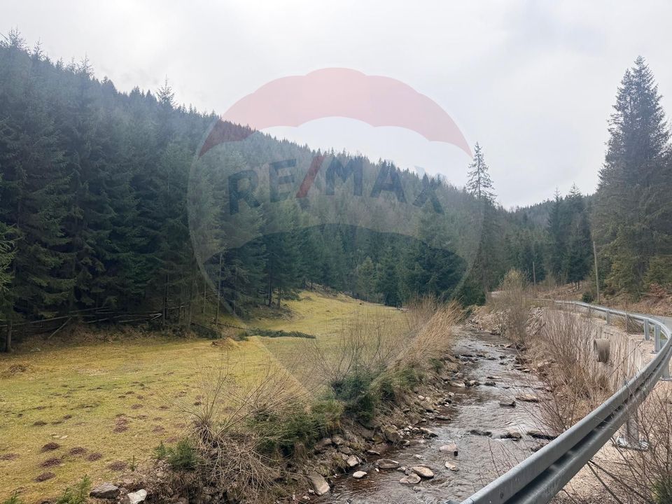 Arieșeni–Strada Fața Cristesei -Teren 4.331 mp cu Peisaj de Poveste