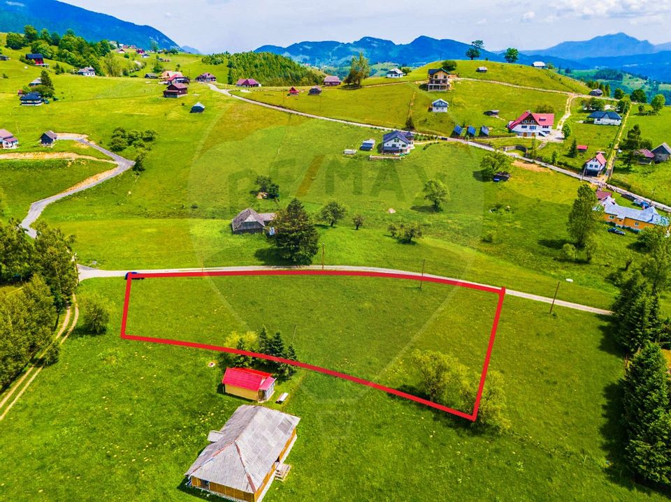 Land 2,687sqm Sirnea / Strada Principala