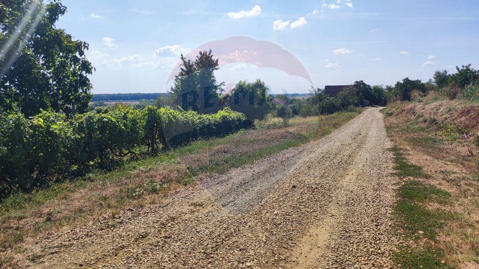 Loc de casa si teren cultivat cu vita de vie 1,28 Ha Santimreu Bihor