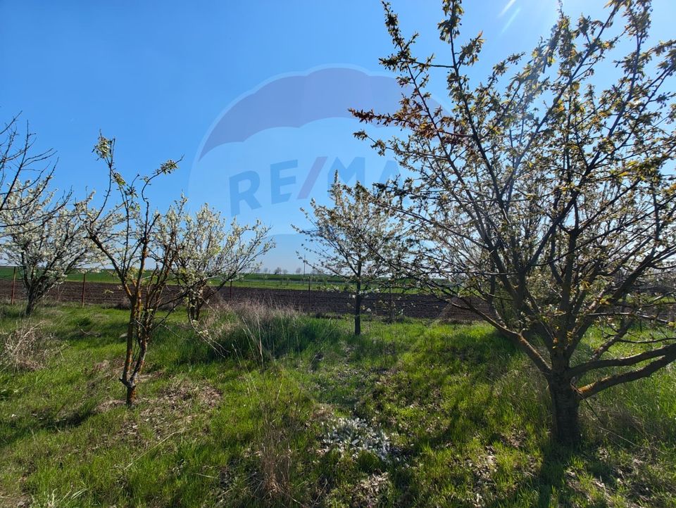 3 room House / Villa for sale