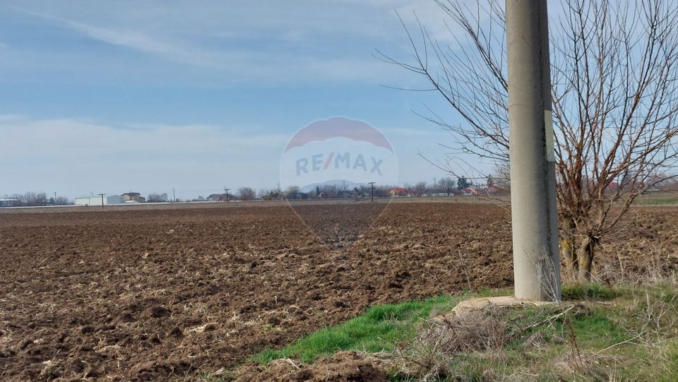 Teren 5,000mp Moara Vlasiei / None