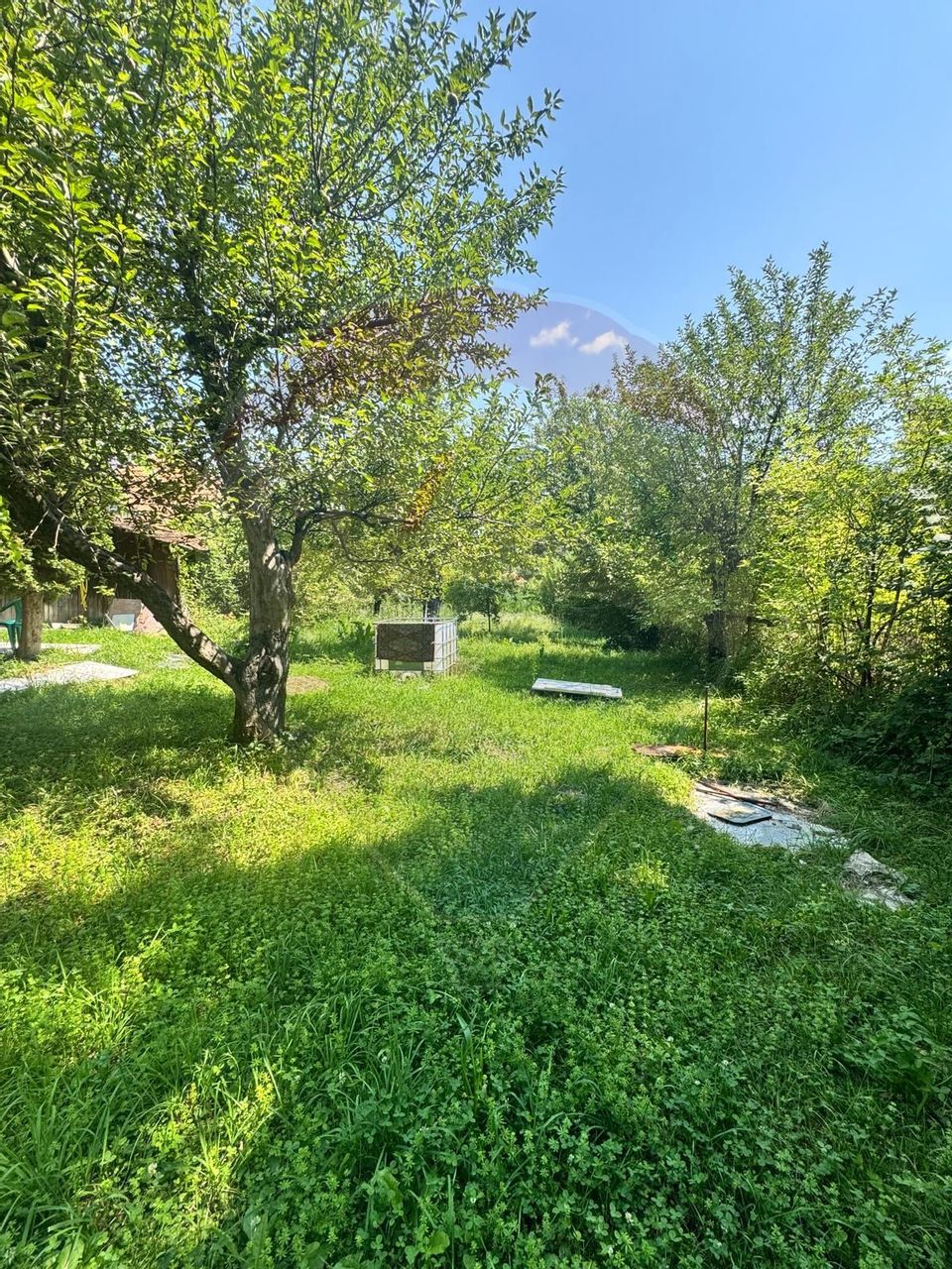 Casă boierească cu istorie, teren generos și ieșire la Râul Târgului