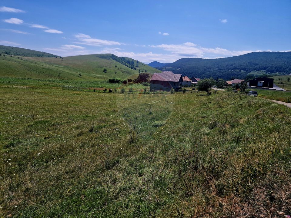 Land 5,000sqm Piatra-Neamt / Strada Punct Petruca