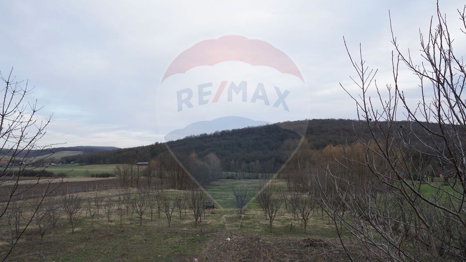 Teren de vanzare 517mp, sat Zapodia, com. Traian, jud Bacau