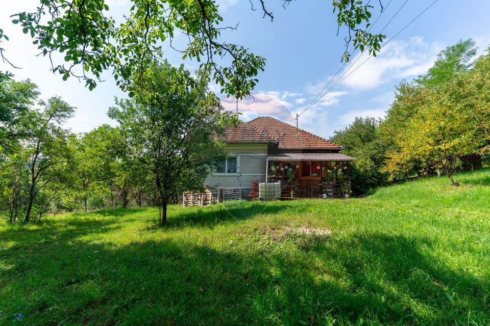 Casă / Vilă cu 3 camere de vânzare