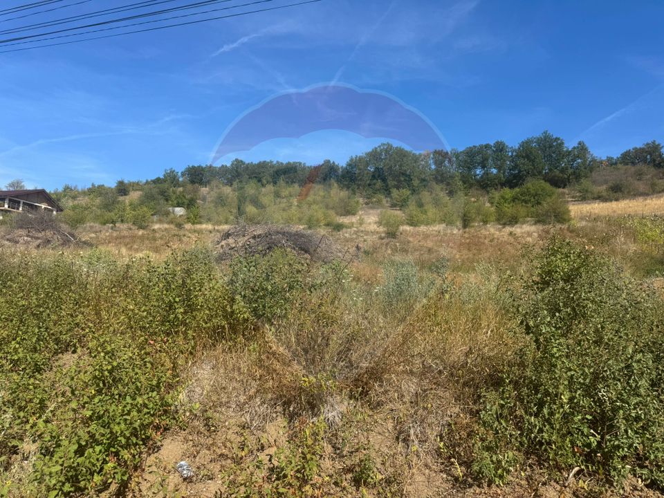 Land 6,600sqm Leamna de Sus / None