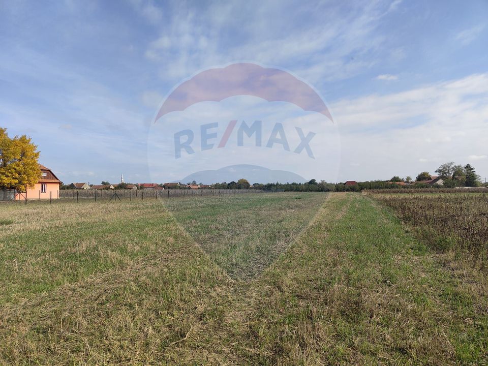 Land 2,217sqm Ohaba-Forgaci / Soseaua principala