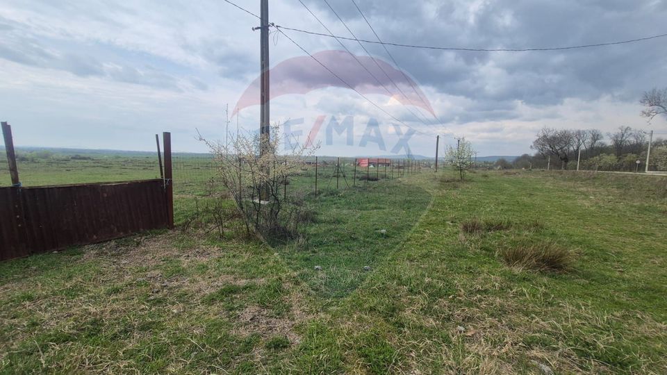 Land 5,000sqm Sebis / Strada CIUTARIEI