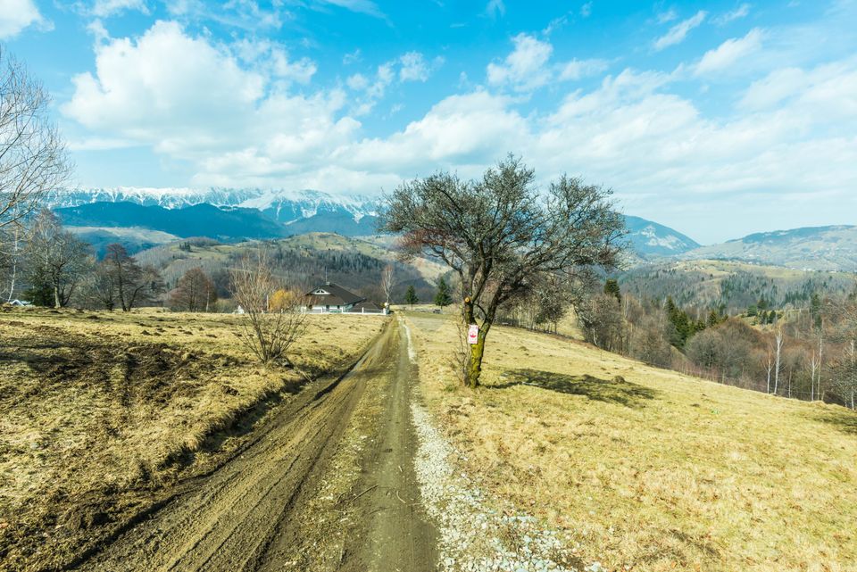 Comision 0%! Teren Moieciu de Jos 1500 mp