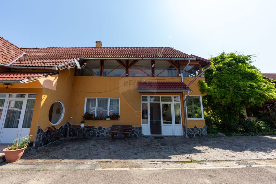 Casă spațioasă cu garaj dublu, foișor și curte amenajată