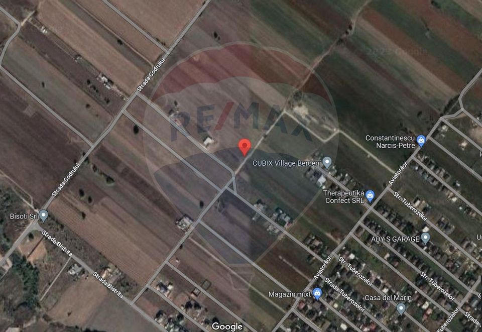 Land 7,700sqm Sintesti / None