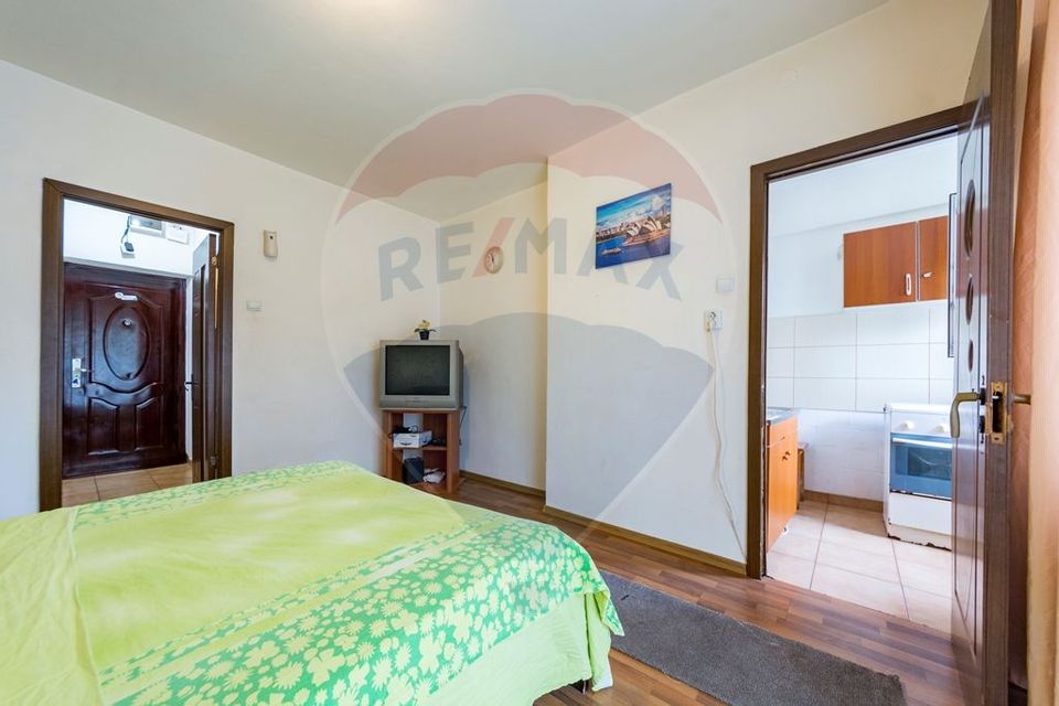 1 room Apartment for sale, Mihai Bravu area