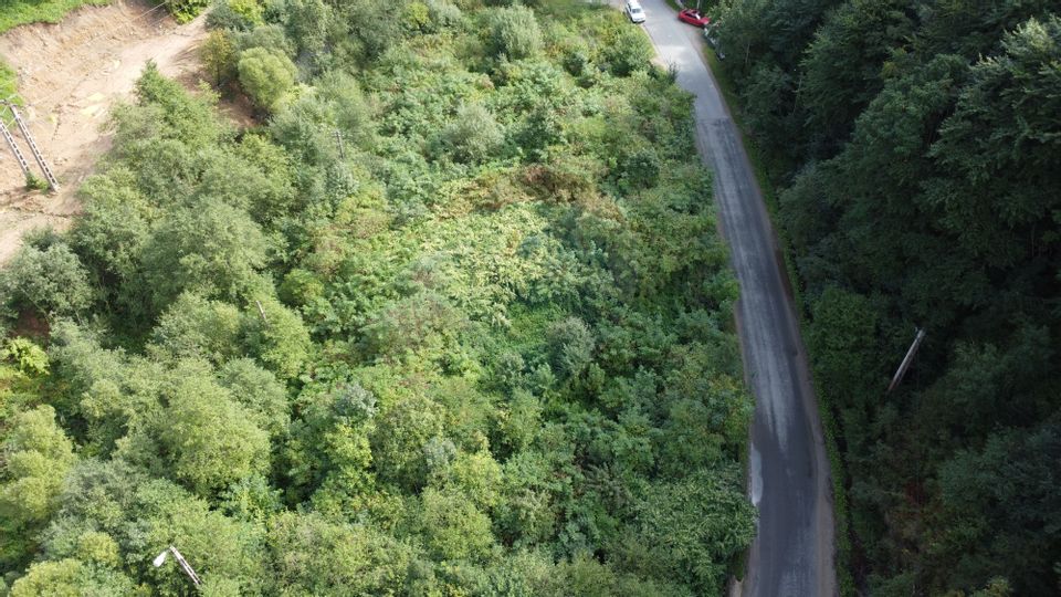 Land 1,000sqm Valea Ierii / Drumul Principala