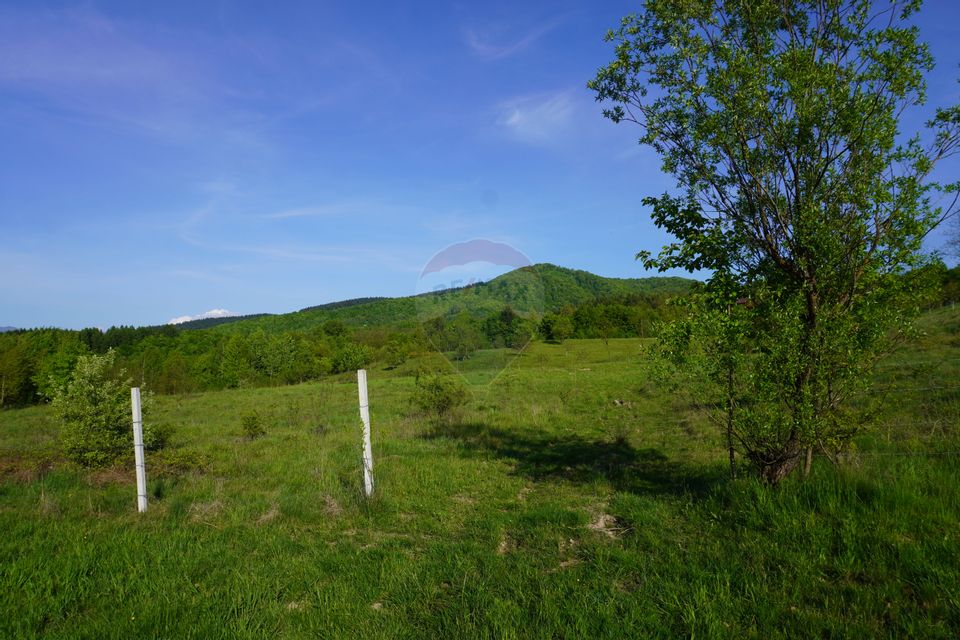 Teren 38,592mp Sighetu Marmatiei / Strada Mocăniței