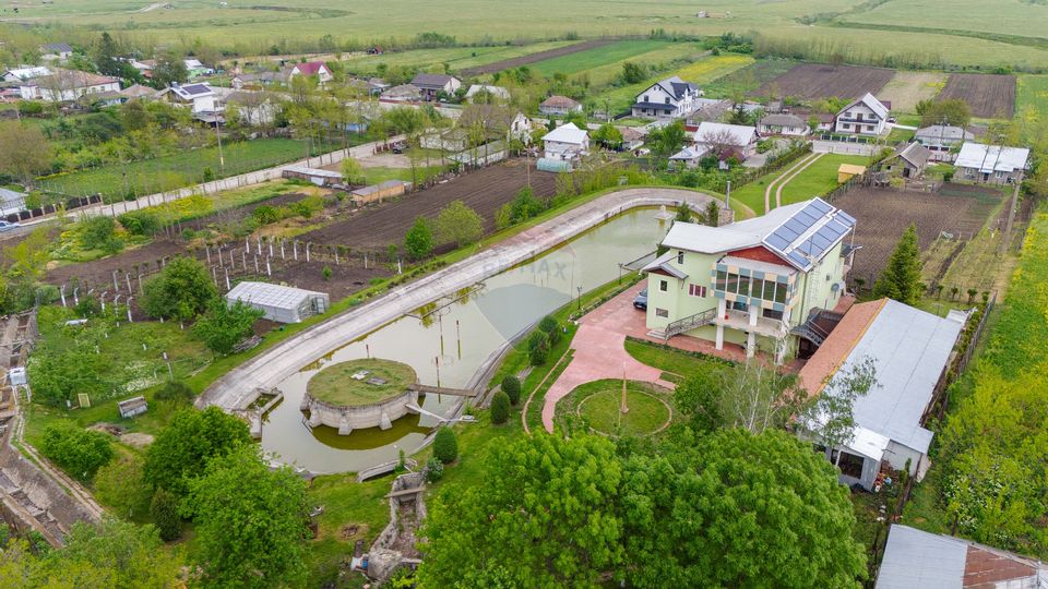 Casă / Vilă cu 10 camere, de vânzare. Todireni, Botoșani.
