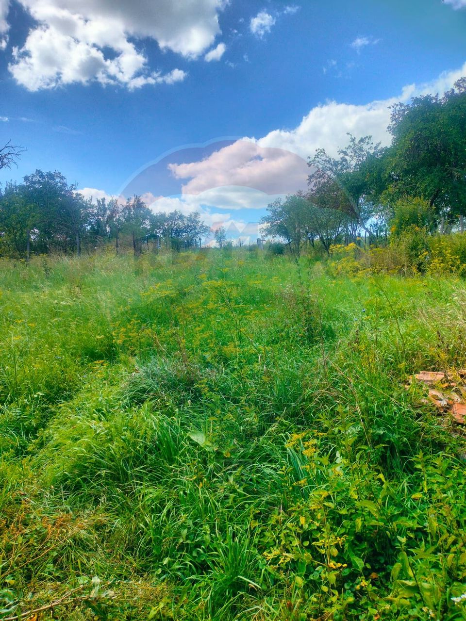 Casă la tara in satul Retis, comuna Bradeni, aproape de Sighisoara