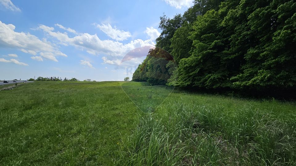 Teren Ilisesti  7000mp extravilan/ DN 17, Suceava