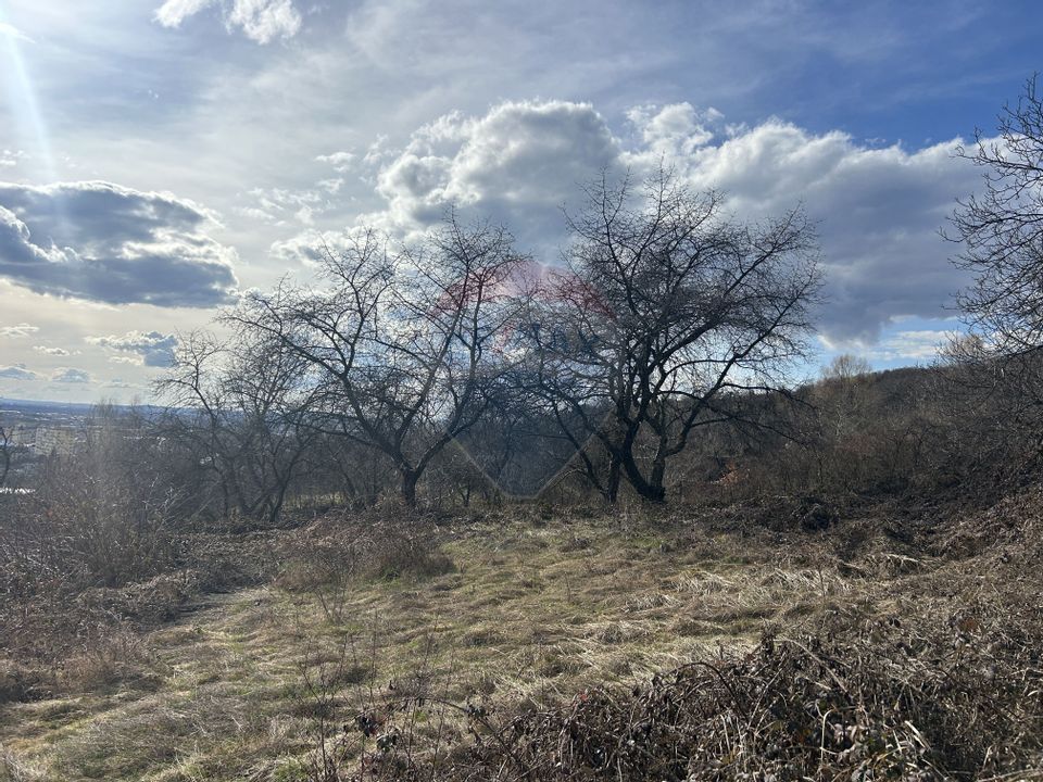 Teren 2,868mp /case/ duplexuri /Baia Mare / Strada Sanatatii Panoramic