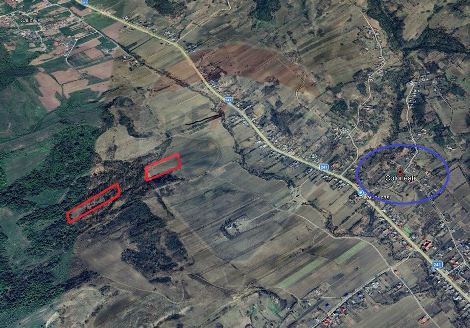 Teren agricol de vanzare Colonesti Bacau