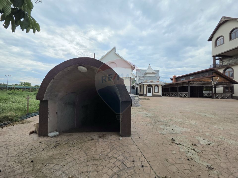 De vânzare proprietate unicat în Sascut - Bacău