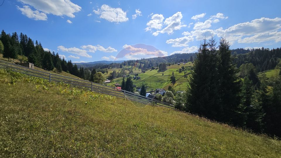 Casă / Vilă de vacanta in Dorna Arini, Suceava