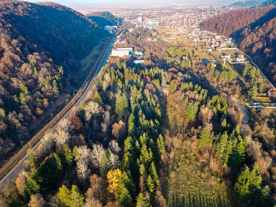 Land 10,000sqm Timisu de Jos / Strada Timișul de Jos