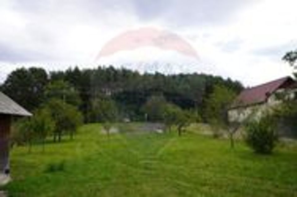 Land 7,968sqm Sighetu Marmatiei / Strada Lazu Baciului