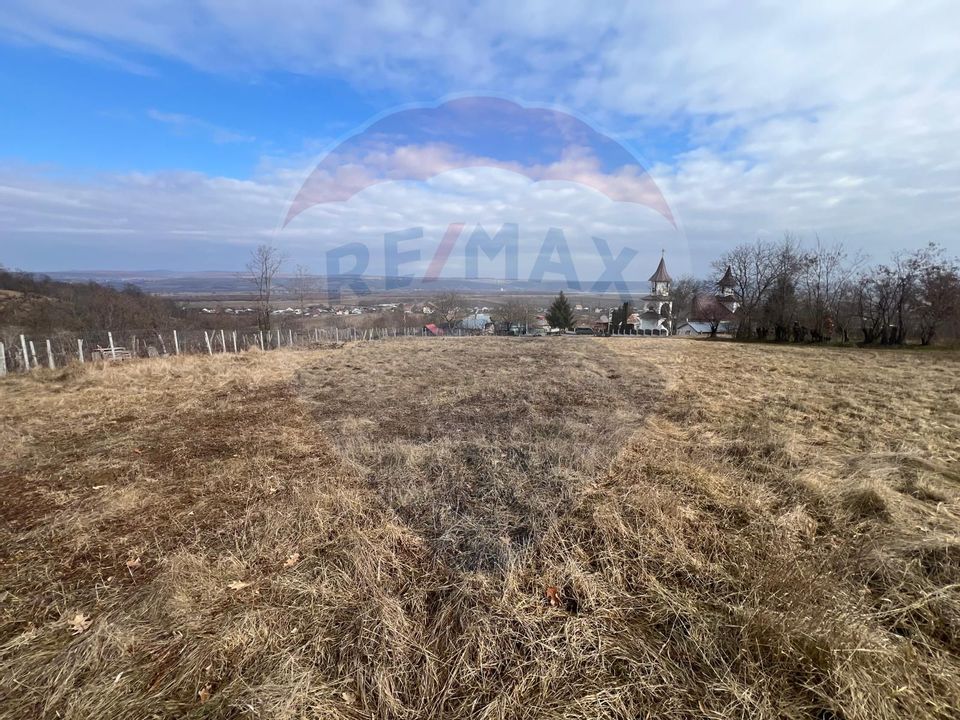 Land 2,600sqm Garleni / Strada Peot Negru Cezar