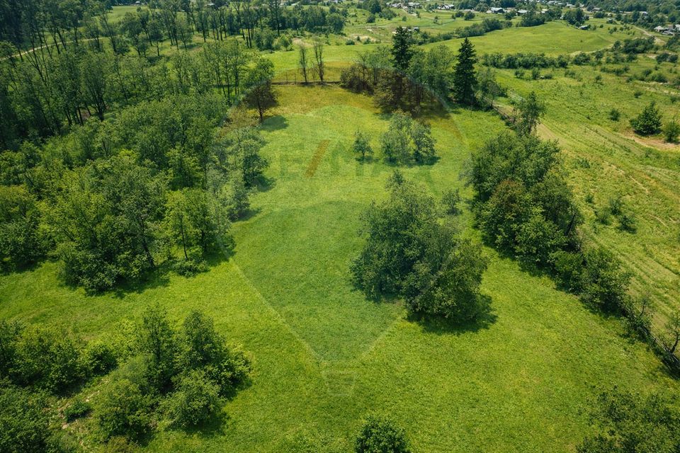 58 room Hotel / Pension for sale, Nord-Vest area