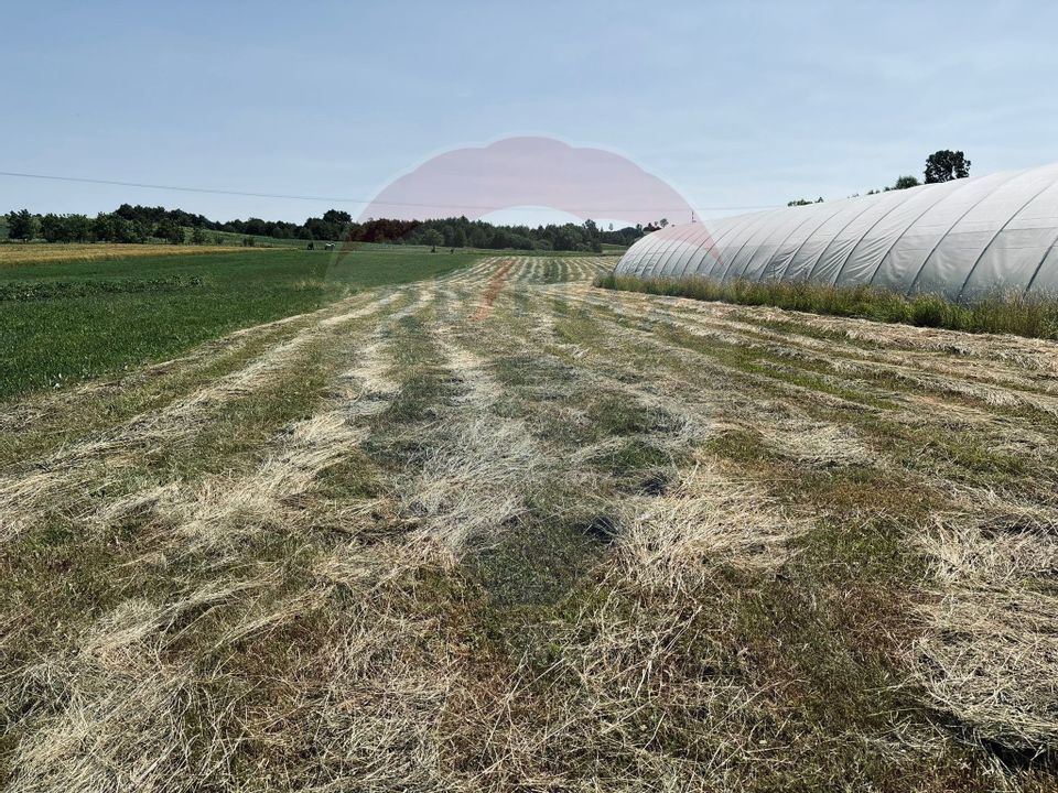 4 room House / Villa for sale