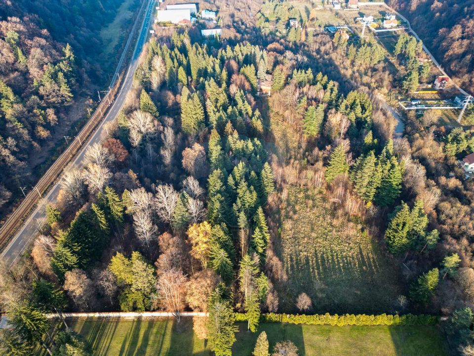 Land 10,000sqm Timisu de Jos / Strada Timișul de Jos