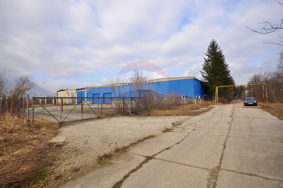 Spațiu industrial 6000 mp, Zarnesti