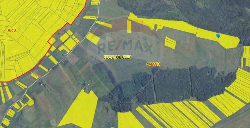 Land 50,000sqm Caianu-Vama / Strada Principala