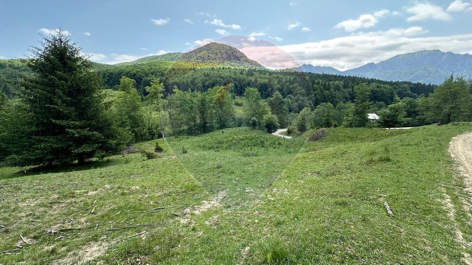 Land 8,500sqm Dalghiu / DJ 103A