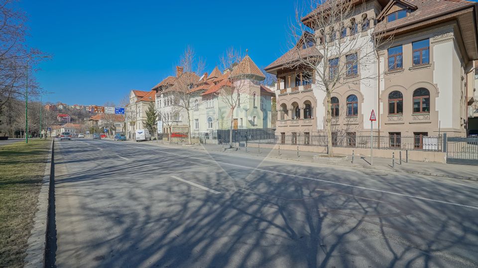 Birouri reprezentative, head office, Str. Nicolae Iorga, ultracentral